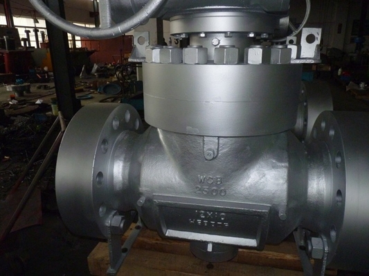 2500LB 24" Blowout Proof Top Entry Valve