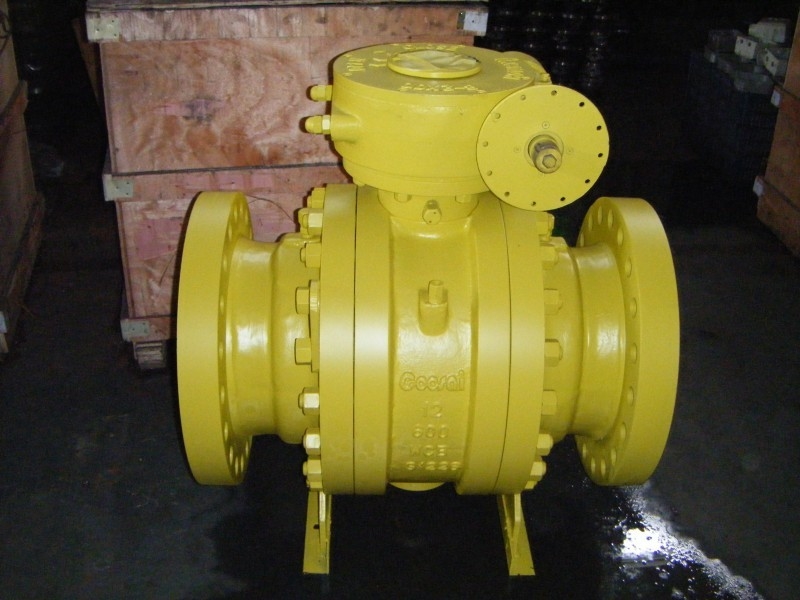 2500lb Double Block Trunnion Ball Valve for 16 Inch Size and Harsh Environments